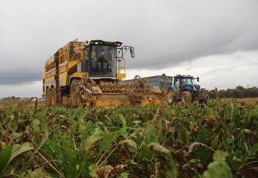 "Attention, si la betterave sucrière ne rémunère pas assez face à l'envolée des coûts de production, les surfaces risquent de baisser significativement", prévient la CGB 27.