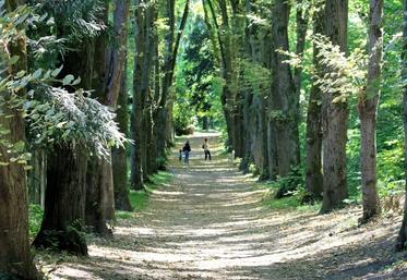Le marché des maisons à la campagne semble enfin se stabiliser, après deux années de chute marquée.