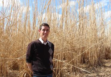 Guillaume Boulay a fondé son entreprise de production de miscanthus, Misca, dans le Perche, sur l'exploitation familiale de 250 ha et 2 800 m2 de bâtiment de stockage. La majorité des débouchés se font à l'aide des réseaux de jardinerie.