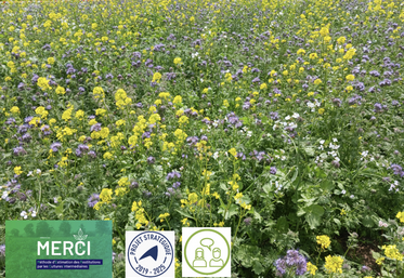 "Merci" est une méthode "de terrain" qui se veut facile d'utilisation et rapidement opérationnelle. Elle a été développée en 2010 par la Chambre d'agriculture Nouvelle-Aquitaine et elle a été régulièrement améliorée avec de nombreux partenaires.