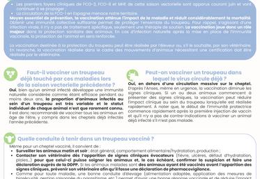 Il est encore temps de protéger vos animaux.