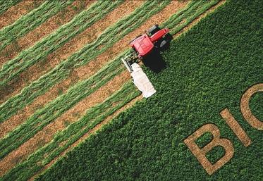 En 2023, l'agriculture biologique représentait 14 % des exploitations en France et 6 % des ventes de produits alimentaires.