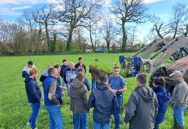 Des agriculteurs et un conseiller réalisent un diagnostic de tassement des sols grâce aux mini profils 3D. 
