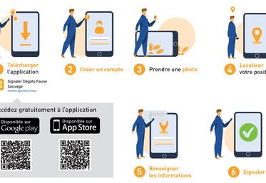 Comment télécharger et utiliser l'application " Signaler dégâts faune sauvage ".
