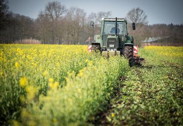 Dans un contexte où les jeunes peinent à s'installer, favoriser la reprise par les familles est un levier essentiel.