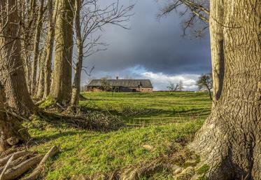 Le preneur sortant dispose d'un an à compter de la fin du bail pour réclamer une indemnisation des améliorations.