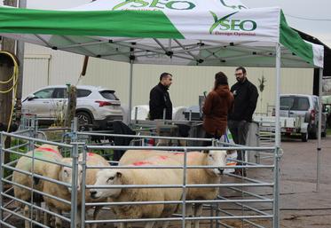 La journée Innov'in s'est déroulée au lycée agricole du Neubourg. Les étudiants du lycée pouvaient assister aux différents ateliers.