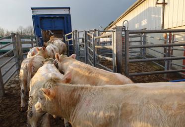 La FNB et la FNPL demandent que le Gouvernement fasse toute la lumière sur les mouvements illicites ou supposés d'animaux.