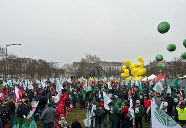 La foule agricole est nombreuse, mardi 20 janvier, à Strasbourg (Alsace). Près de 1 000 tracteurs et environ 4 000 manifestants sont là.