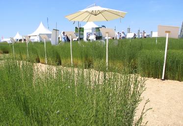 "En 2019, la production nationale était la même qu'en 2024 alors que les surfaces ont augmenté. Le changement climatique doit nous interpeller", a martelé Stéphane Vacher. "Il faut trouver des variétés plus adaptées aux périodes de stress."