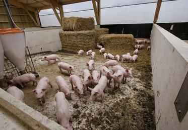 L'élevage va passer de 80 têtes à 200.