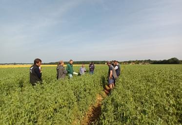 Visite des parcelles du projet avec les agriculteurs et les conseillers.