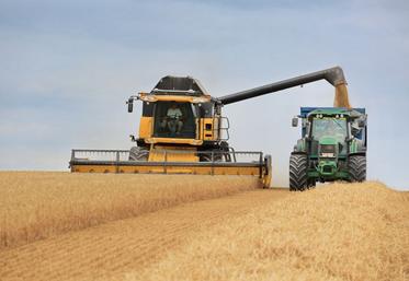 Pour le moment, l'offre mondiale de grains reste abondante, justiﬁant le maintien des cours à un niveau relativement bas.
