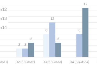 Evolution des stades du lin fibre d'hiver (semaine 12 : 17 mars à la semaine 14: 31 mars).