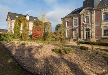 Un massif arbustif paillé avec du miscanthus dans une commune de Seine-Maritime.