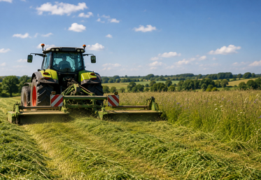 La valorisation des jachères constitue un levier supplémentaire pour sécuriser l'alimentation des troupeaux.