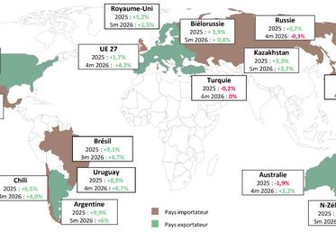 Tendances de production au sein des principaux acteurs du marché mondial en 2025 et cumul annuel 2026.