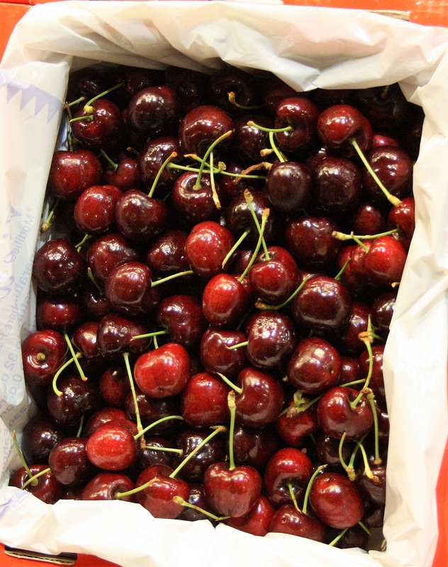 Cerise Fruits, variétés, production, saisonnalité