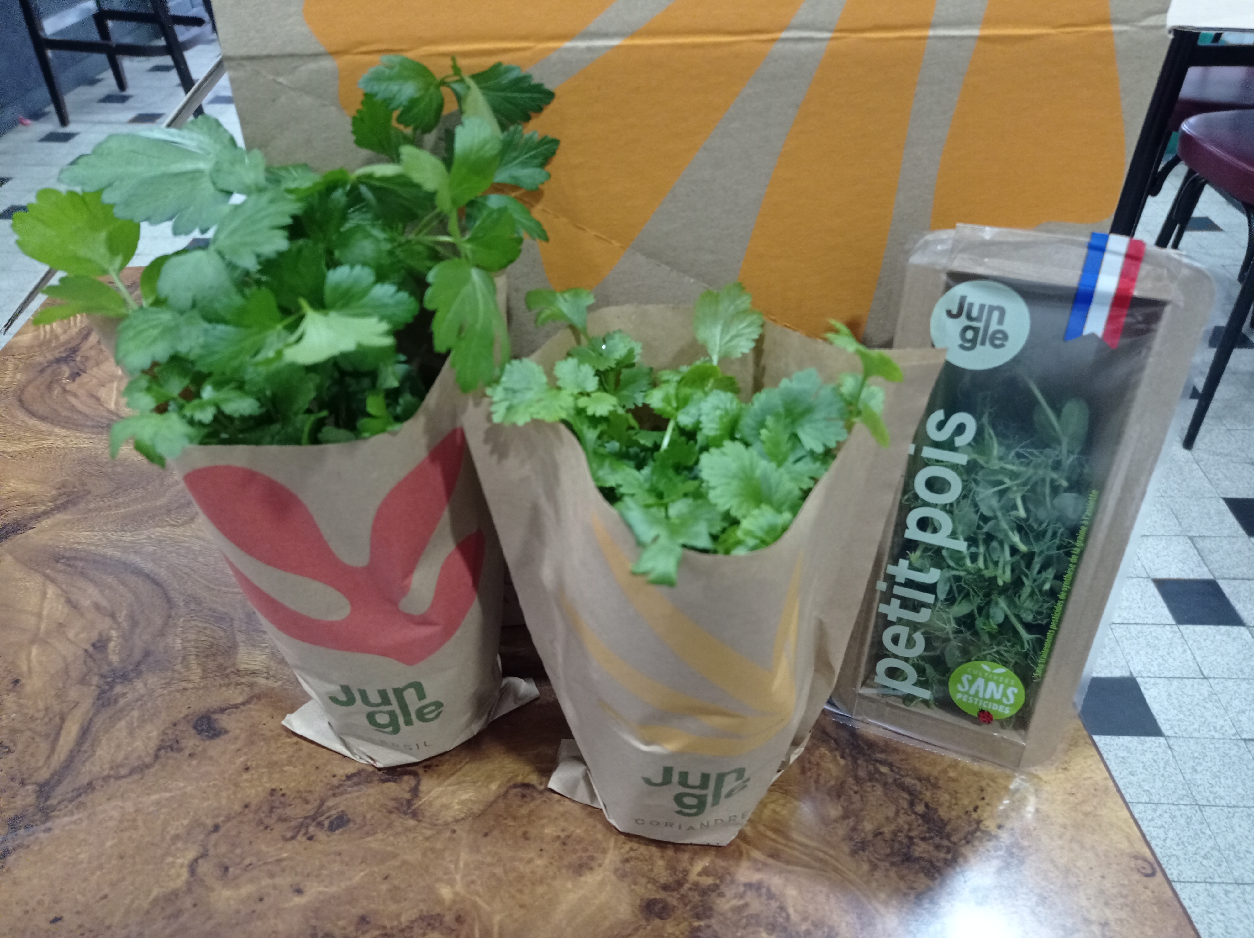 Plant de Coriandre Bio frais : le pot à Prix Carrefour