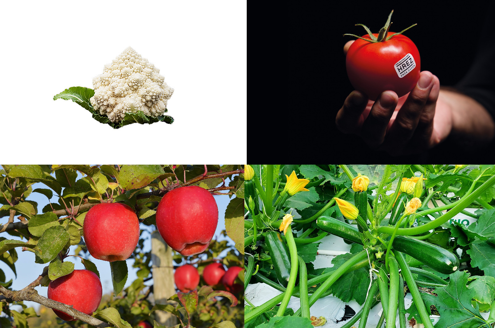 chouさん Coupe chou THIERS ISSARD 7/8ème 