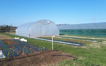 Le tunnel mobile a été utilisé pour intensifier la production, avec quatre déplacements la deuxième année.