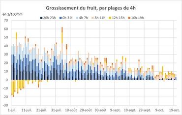 Grossissement du fruit par plage de 4h sur Rosy Glow en 2021 à Cavaillon.Les pommes Rosy Glow grossissent plus la nuit que le jour jusqu’à fin août.