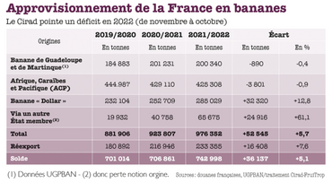 Approvisionnement de la France en bananes : un déficit en 2022.