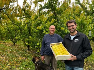 Avec Christian et Patrick, exit le maraîchage. Aux Fruits du Campredon, il n'y a plus que de l'arboriculture.