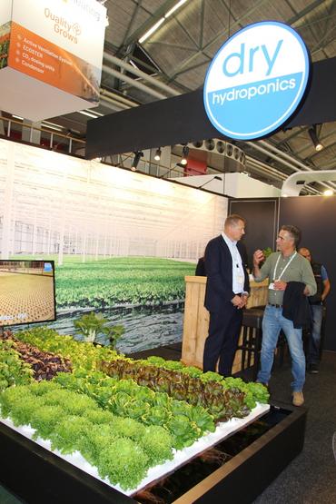 Salade : 8 équipements innovants pour produire en hors-sol