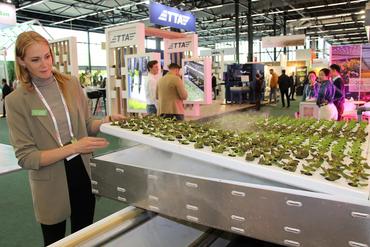Lettus grow salade hors-sol