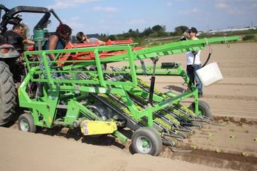 <em class="placeholder">planteuse légumes Hortech</em>