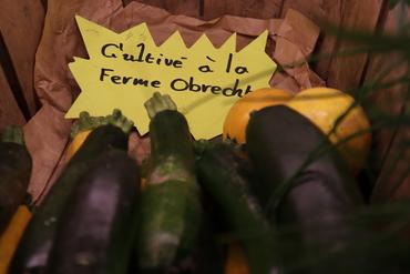 courgette vente directe