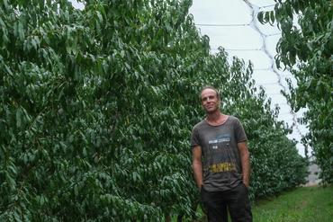 <em class="placeholder">Depuis la mise en place des filets, Julien Rous n’a abattu aucun des arbres protégés alors qu’à l’extérieur l’hécatombe continue.</em>