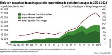 <em class="placeholder">Évolution des achats des ménages et des importations de petits fruits rouges de 2013 à 2023.</em>