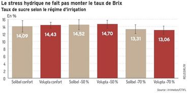 <em class="placeholder">Le stress hydrique ne fait pas monter le taux de Brix</em>