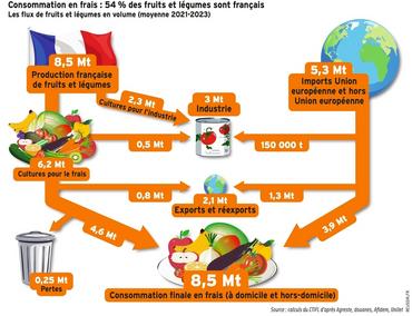 <em class="placeholder">Les des flux de fruits et légumes sur la période 2021-2023 en France. </em>