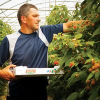 La coopérative fruitière des monts du Lyonnais a mis en place plusieurs services pour favoriser la reprise d'exploitation, notamment hors cadre familial.