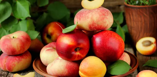 Nectarines, fruits plats et segment des sanguines sont de plus en plus plébiscités par les consommateurs.