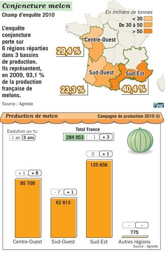 Bilan de saison en Espagne (Melon)