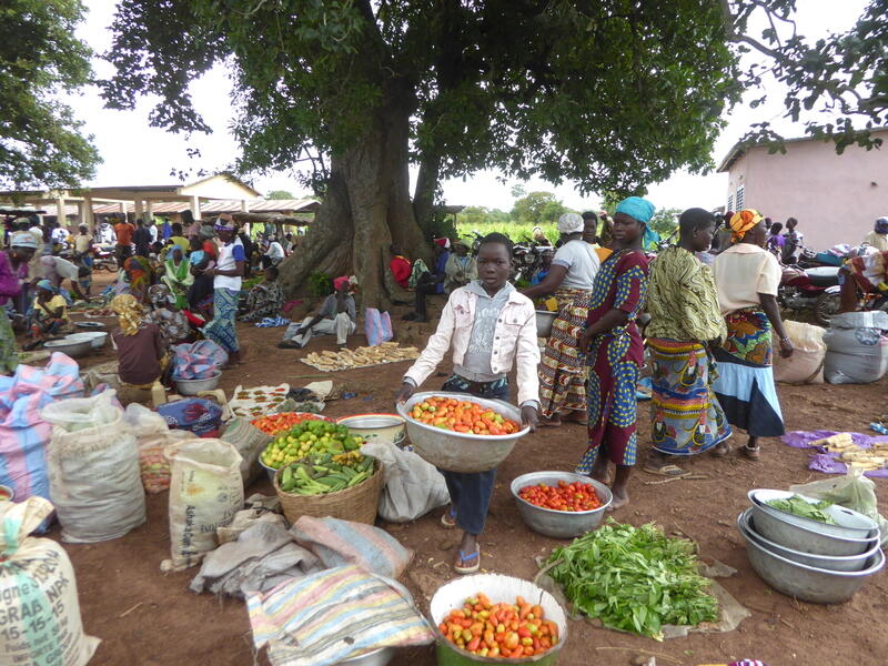 b-nin-la-tomate-aux-petits-oignons-r-ussir-fruits-l-gumes