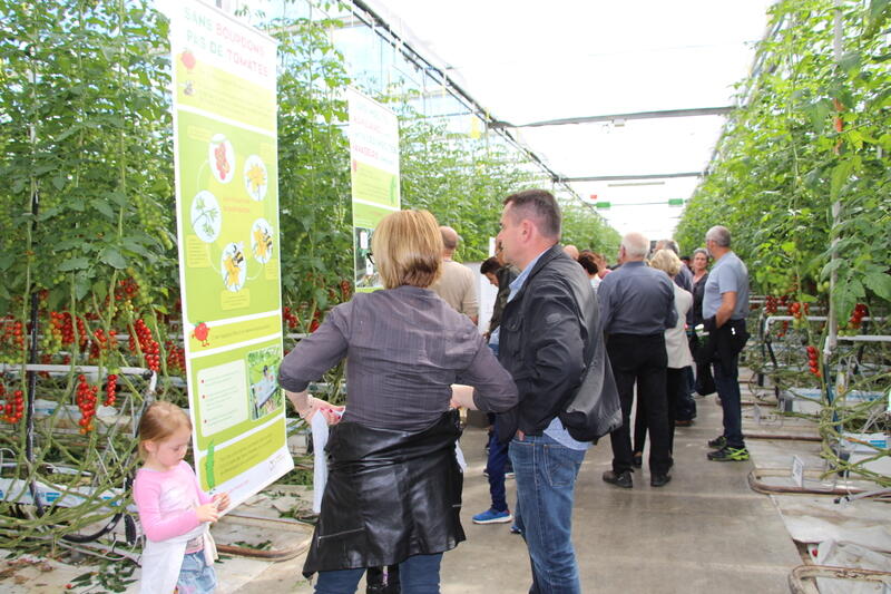 Serres ouvertes : faire découvrir la production sous serre | Réussir ...