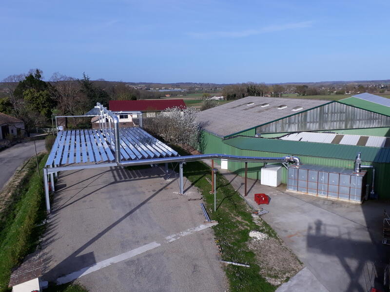 Chaudière basse température pour serres de fraises, culture hors-sol