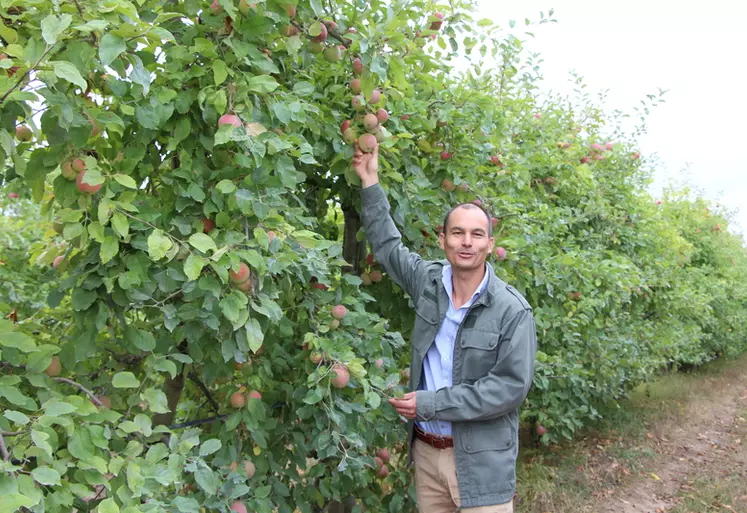«Le locavorisme est une tendance forte, en France et dans les autres pays », constate Noah Courtal, à responsable d’exploitation à Côteaux Nantais.