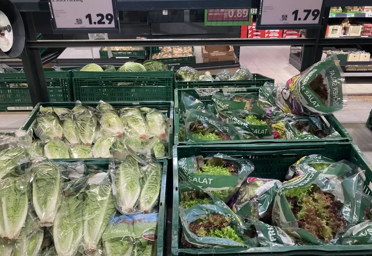 Salades entières dans des emballages plastique dans un supermarché en Allemagne. 