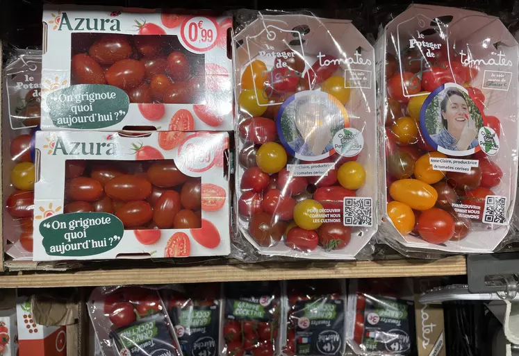 Les tomates cerise marocaines à des prix défiant toute concurrence, côtoie l’offre française en saison. 