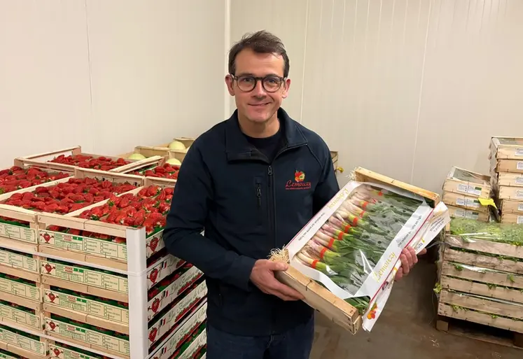 Olivier Lemouzy tenant une cagette de légumes, avec un arrière fond des palettes de fraises et des palettes de salades