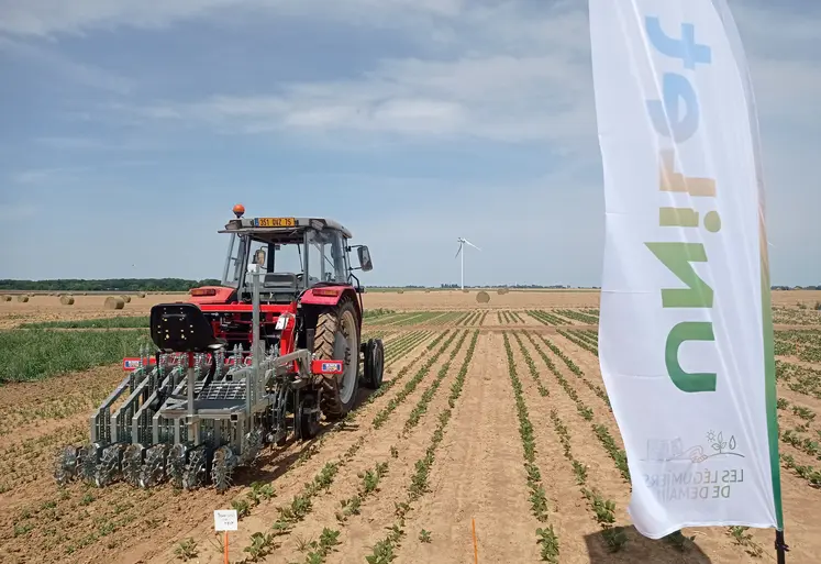 Une bineuse équipée de moulinets TILT Rotovert, permettant de désherber le rang lors du binage, sur un champ. Devant, le drapeau de l'Unilet