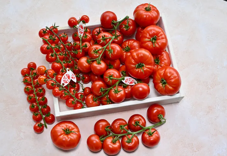 <em class="placeholder">Gamme de tomates label Rouge.</em>