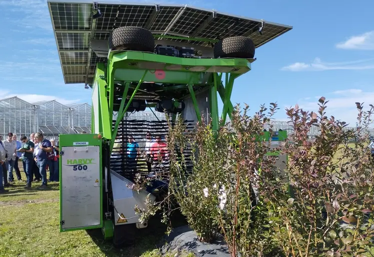 <em class="placeholder">Harvy 500, la récolteuse à myrtilles électrique de Fine Feld</em>