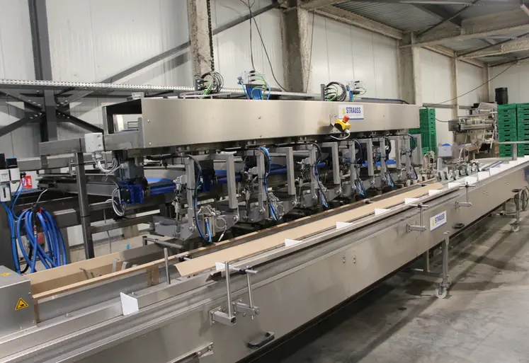 <em class="placeholder">Le robot de bottelage d&#039;asperges de Strauss. </em>